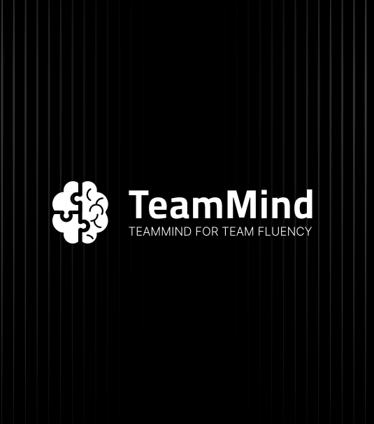 TeamMind logo on black background